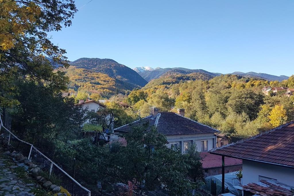 Duvaro Guesthouse Raduil Buitenkant foto